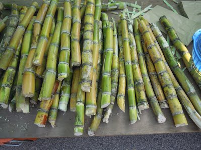 Happy News for Sugarcane Farmers: ಕಬ್ಬು ಬೆಳೆಗಾರರಿಗೆ ಎಫ್ಆರ್ಪಿ ಮೇಲೆ 150ರೂ ಹೆಚ್ಚುವರಿಯಾಗಿ ಪಾವತಿಸಲು ಆದೇಶ